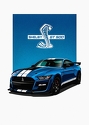 2020 Shelby GT 500 2020 Shelby GT 500